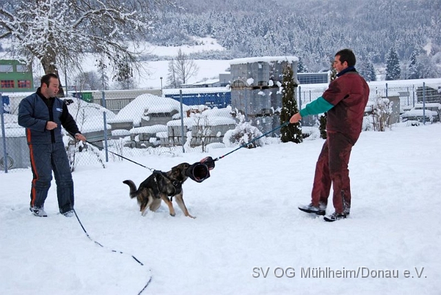 Training 13.12.2008 (120).JPG