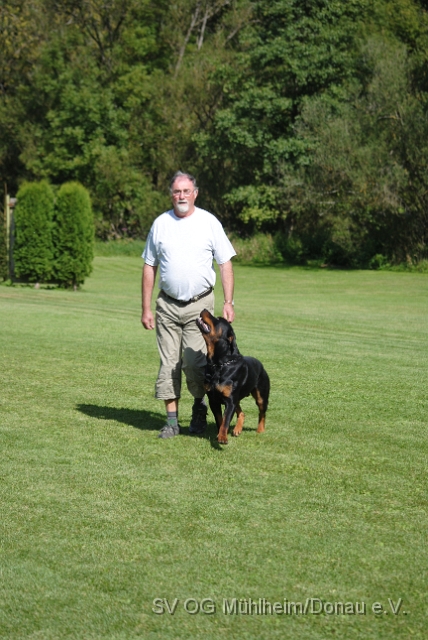 Mühlheim 11.09.2010 Hundetraining 010.JPG