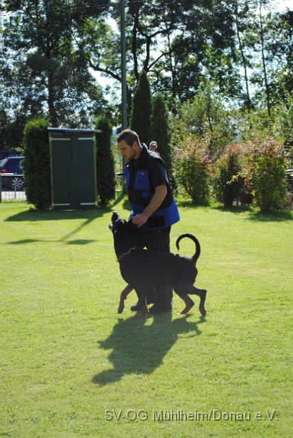 Mühlheim 11.09.2010 Hundetraining 054.JPG