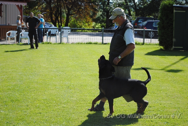 Mühlheim 11.09.2010 Hundetraining 105.JPG