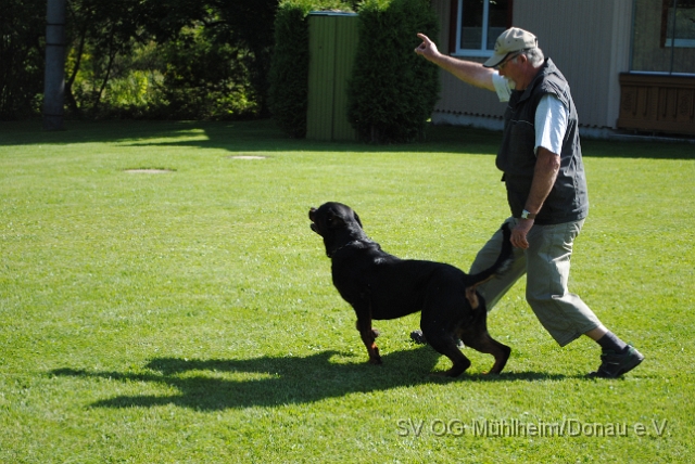 Mühlheim 11.09.2010 Hundetraining 106.JPG