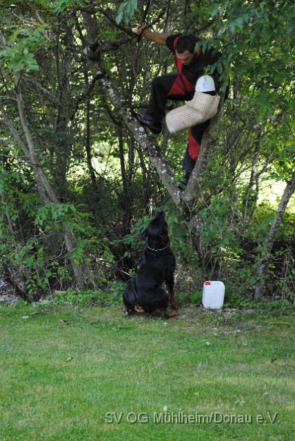 Mühlheim 11.09.2010 Hundetraining 276.JPG