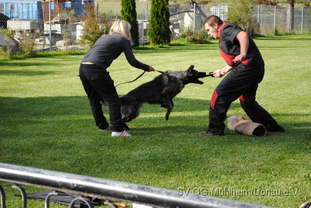 Mühlheim 11.09.2010 Hundetraining 340.JPG