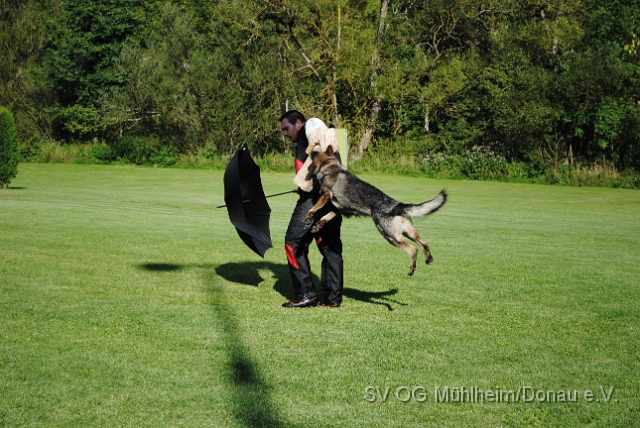 Mühlheim 11.09.2010 Hundetraining 361.JPG