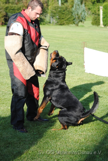 Mühlheim 11.09.2010 Hundetraining 399.JPG