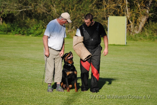 Mühlheim 11.09.2010 Hundetraining 432.JPG