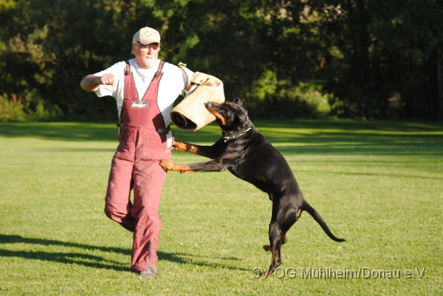 Mühlheim 11.09.2010 Hundetraining 477.JPG