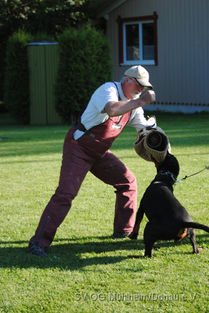 Mühlheim 11.09.2010 Hundetraining 500.JPG