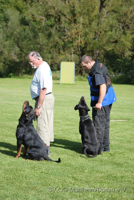 Muehlheim 11.09.2010 Hundetraining 005.JPG