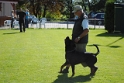 Mühlheim 11.09.2010 Hundetraining 105