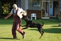 Mühlheim 11.09.2010 Hundetraining 472