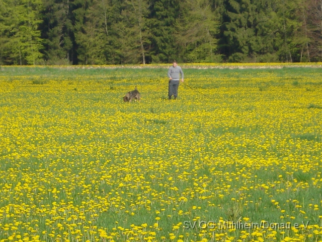 Prüfung Mühlheim (29).JPG