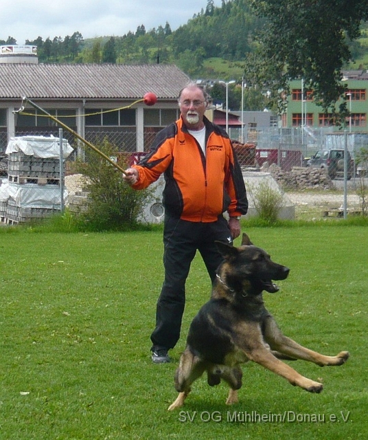 Hunde334.jpg