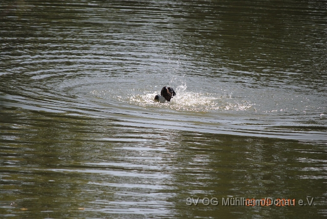 Fischteich.045.jpg