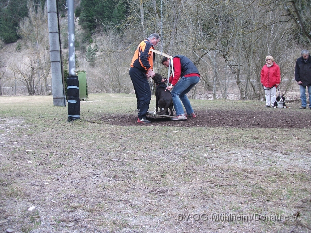 DSCF0640 - Kopie.JPG