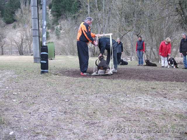 DSCF0656 - Kopie.JPG