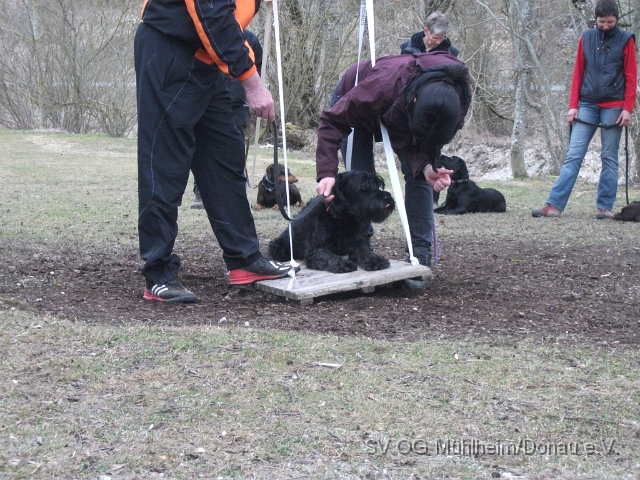 DSCF0666 - Kopie.JPG