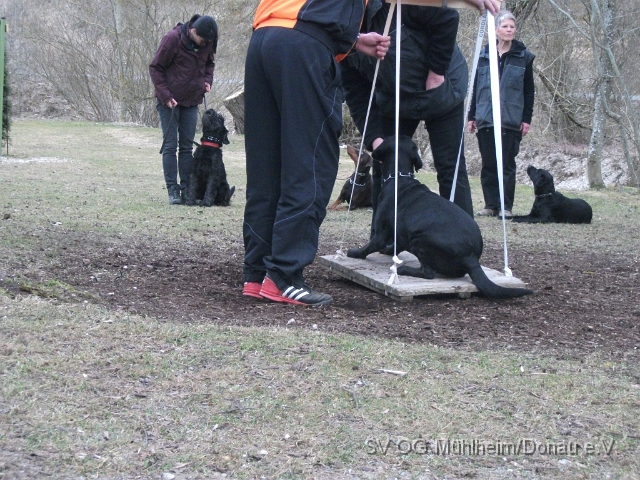 DSCF0670 - Kopie.JPG