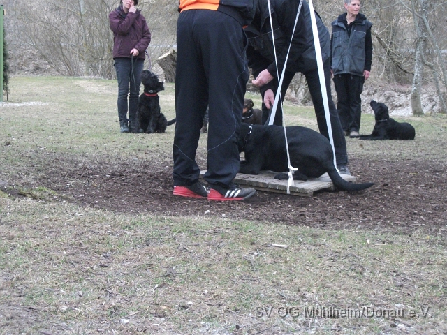 DSCF0671 - Kopie.JPG