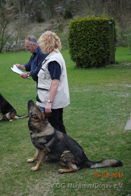Prüfung 2012 April.073.jpg