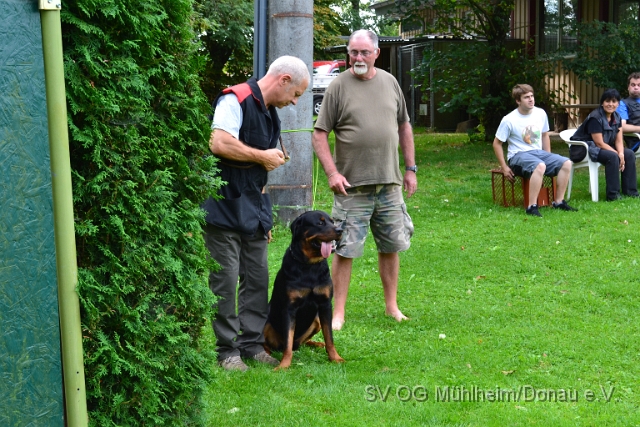 DSC_0071.JPG