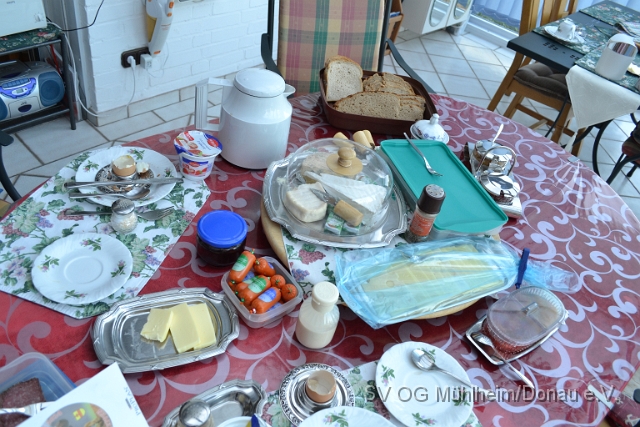 DSC_1520.JPG