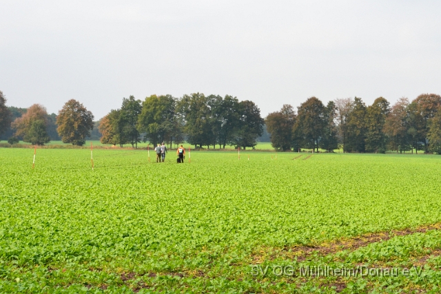 DSC_1525.JPG