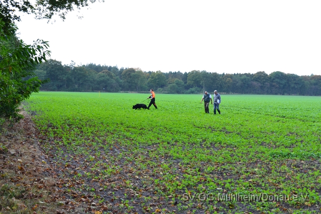 DSC_1532.JPG