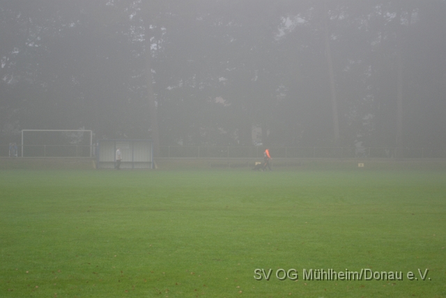 DSC_1534.JPG