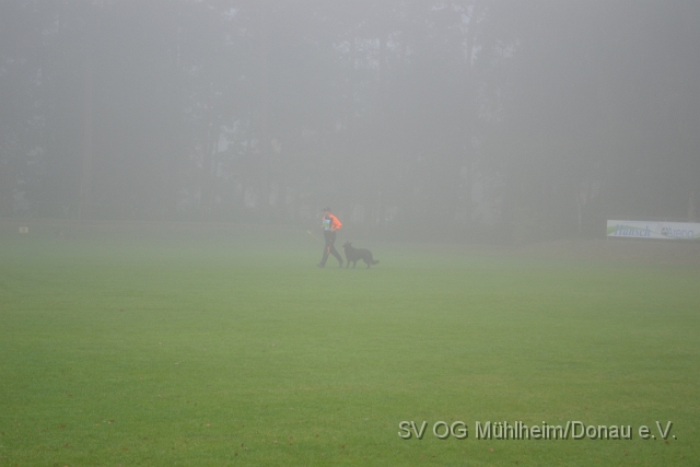 DSC_1547.JPG