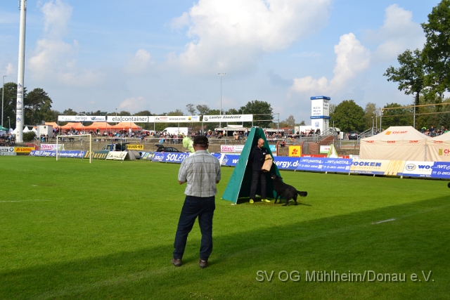 DSC_1562.JPG