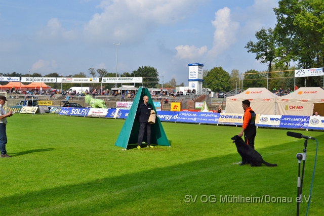 DSC_1563.JPG