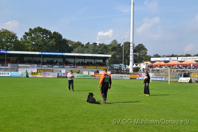 DSC_1564.JPG