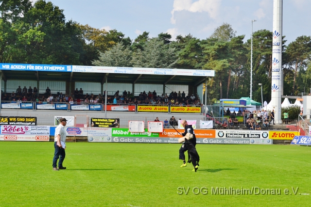DSC_1565.JPG