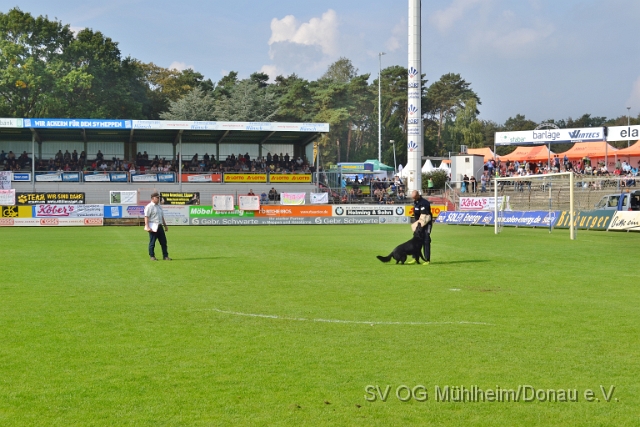 DSC_1566.JPG