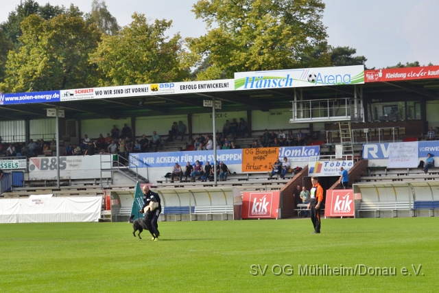 DSC_1568.JPG