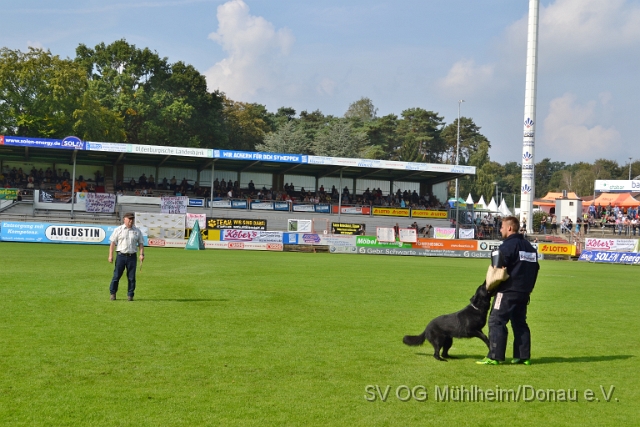 DSC_1574.JPG