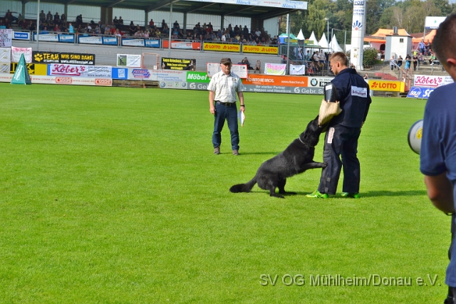 DSC_1575.JPG