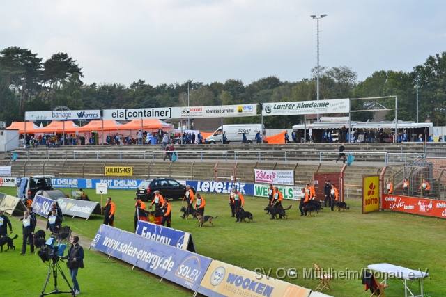 DSC_1585.JPG