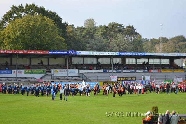 DSC_1590.JPG