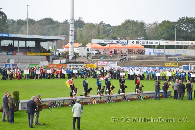 DSC_1593.JPG