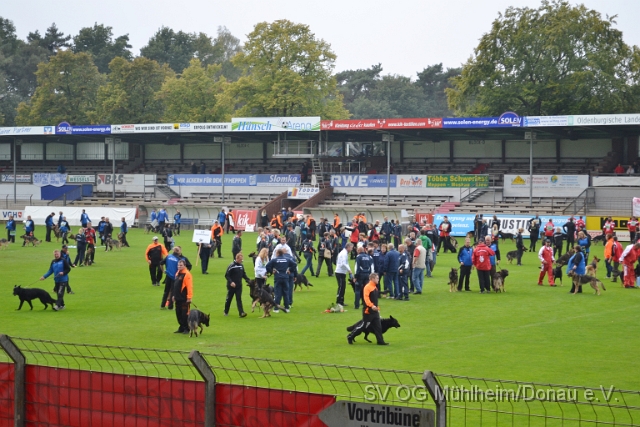 DSC_1598.JPG
