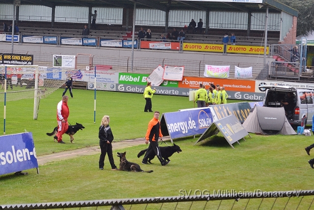 DSC_1599.JPG