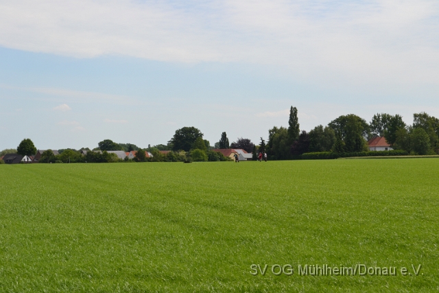 DSC_1217.JPG