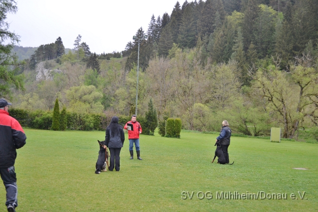DSC_0936.JPG