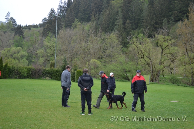 DSC_0962.JPG