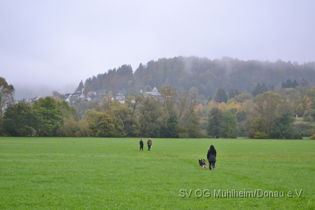 DSC_1604.JPG