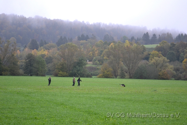 DSC_1606.JPG