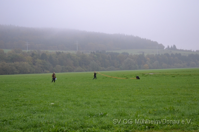 DSC_1617.JPG