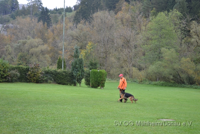 DSC_1638.JPG